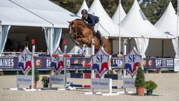 Projecteurs sur… Falko de Hus*GFE