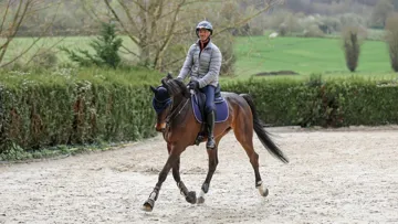 Soutenu par des marques telles que Childéric Sellier, Équithème, Naca et Freejump, Karim Laghouag est multi-médaillé de concours complet. Il livre ses conseils.