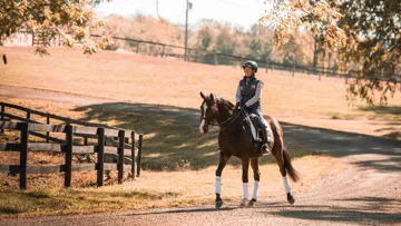 5 conseils essentiels pour renforcer l'immunité de votre cheval