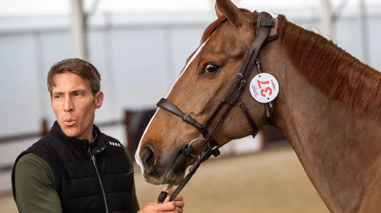 Les tenants du titre Henrik von Eckermann et King Edward remettent dès aujourd’hui leur titre en jeu. 
