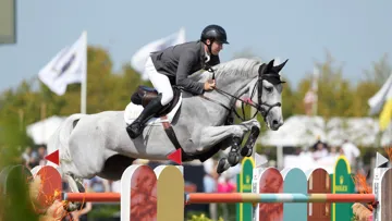 La grise est aussi bien à son aise à l’extérieur qu’en indoor, sur le sable ou l’herbe. 