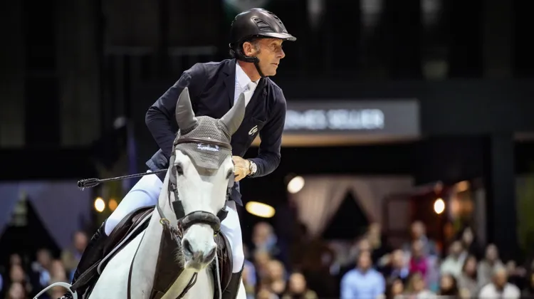 Philippe Rozier compte beaucoup sur Ditry Sweet, qui est en train de passer un cap. 