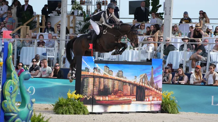 Ici lors du LGCT de New York, Nicola Philippaerts et Gadget Mouche ont décroché ensemble leur premier succès international à Mill Spring.