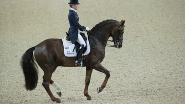 Selon Jan Tönjes, Damon Hill, multi-médaillé avec l’Allemande Helen Langehanenberg, est l’un des chevaux ayant le mieux incarné la notion de Durchlässigkeit ces quinze dernières années, même s’il présentait parfois quelques soucis de contact.