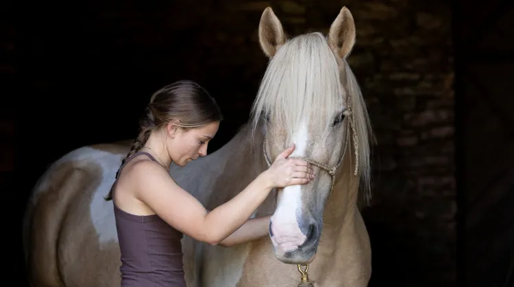 Praticienne et formatrice en communication animale, Marie Azema témoigne l’évolution de son métier et surtout de son accueil dans le monde du cheval. 