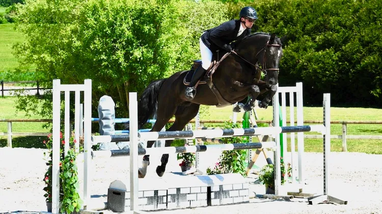 Invitation à consigner vos chevaux