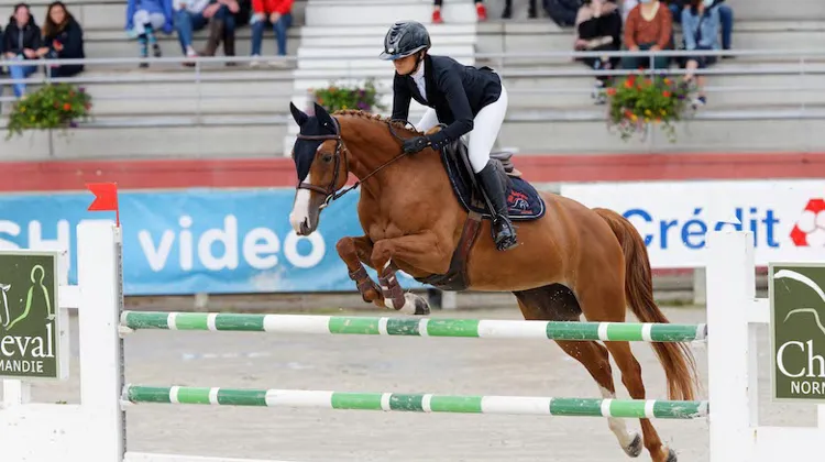 L'agenda du Pôle Hippique de St Lô