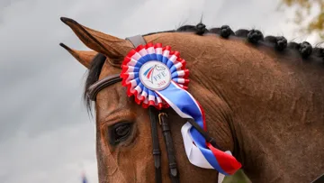 Quelques changements sont à noter dans les listes “À cheval pour Paris”. 