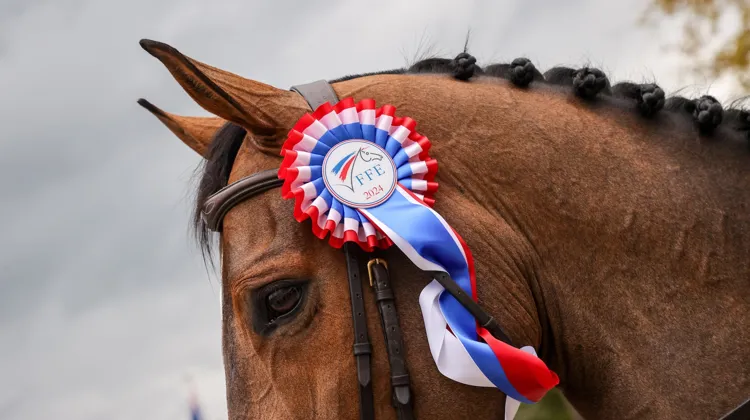 Quelques changements sont à noter dans les listes “À cheval pour Paris”. 
