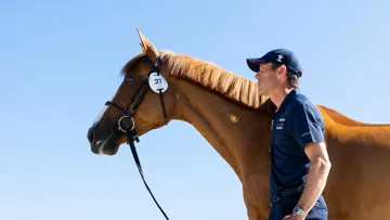 Aussi impétueuse soit-elle en piste, Hello Folie de Nantuel a trouvé en Scott Brash le partenaire idéal pour ébahir les passionnés de jumping.