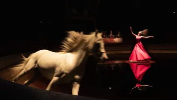 Un belle déclaration de Bartbas au cheval et à la démocratie.