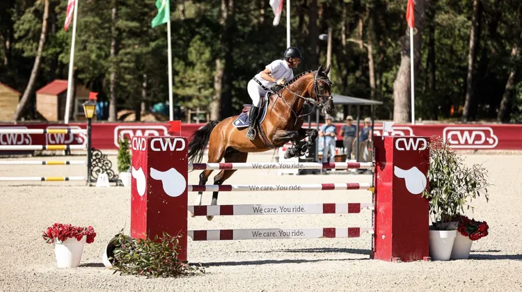 À Fontainebleau Classic, Philippe Rozier a remporté le Grand prix du CSI 2*.