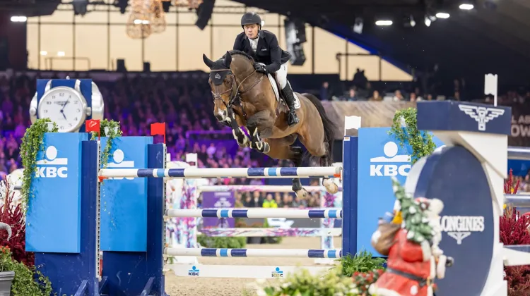 À Malines, Willem Greve et Grandorado TN avaient terminé cinquièmes du Grand Prix Coupe du monde.