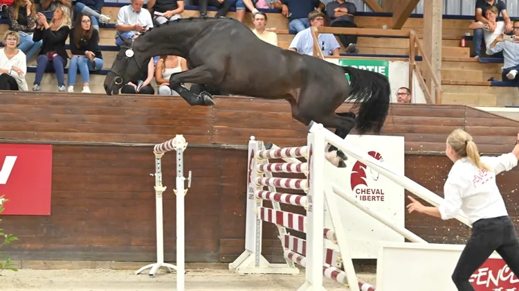 Le top price de la soirée pour Oracona 