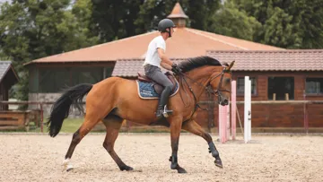 La célèbre maison Pierre Bergé et associés organise sa première vente aux enchères équestre  ! 