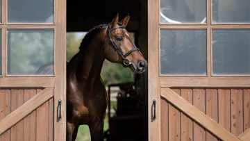 Jilbert van't Ruytershof