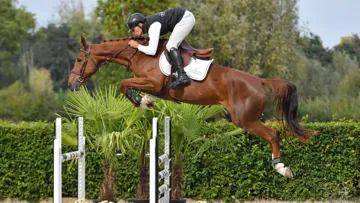 La toute première vente aux enchères de Champions of Tomorrow