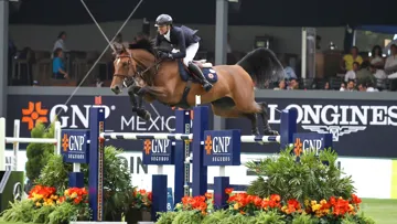 Simon Delestre et sa baie ont signé leur huitième victoire internationale hier à Mexico. 