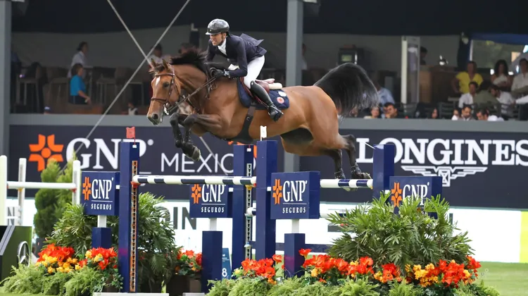 Simon Delestre et sa baie ont signé leur huitième victoire internationale hier à Mexico. 