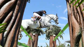 En 2016, Philippe Rozier et Rahotep de Toscane avaient permis à la France d'être sacrée championne olympique à Rio de Janeiro.