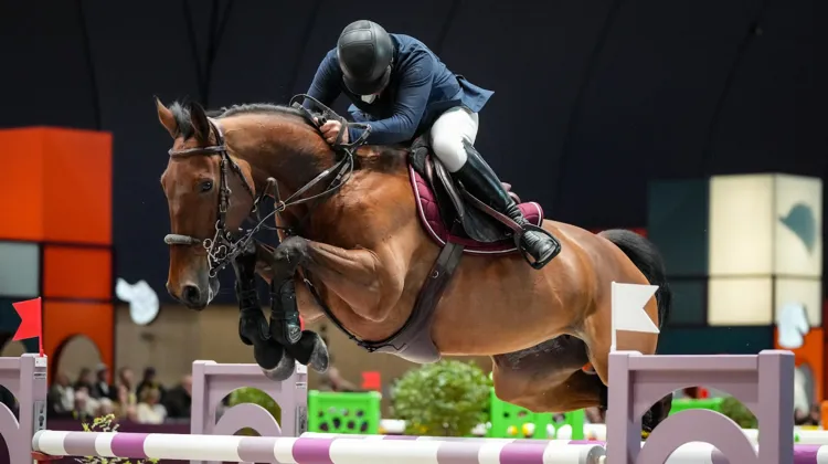 Roger-Yves Bost et Ever de Turan, déjà quatrième de l'épreuve à 1,50m plus tôt dans la journée. 