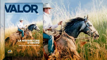 Les fibres alimentaires à la Une du magazine VALOR