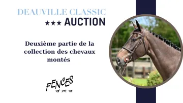 La suite de la collection des chevaux montés