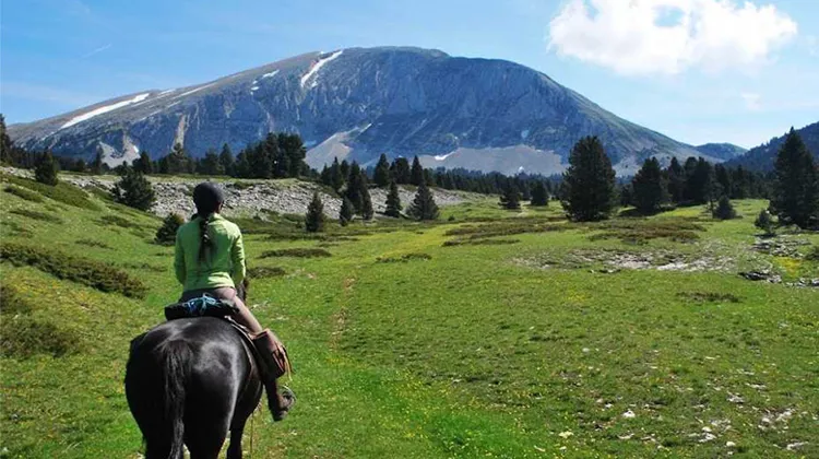 Réservez votre prochain séjour équestre avec Decathlon Travel