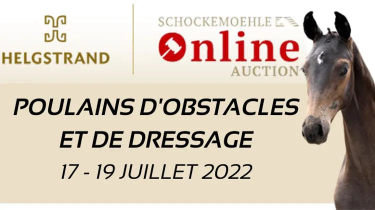 Une vingtaine de poulains pour la prochaine vente aux enchères en ligne Helgstrand-Schockemöhle