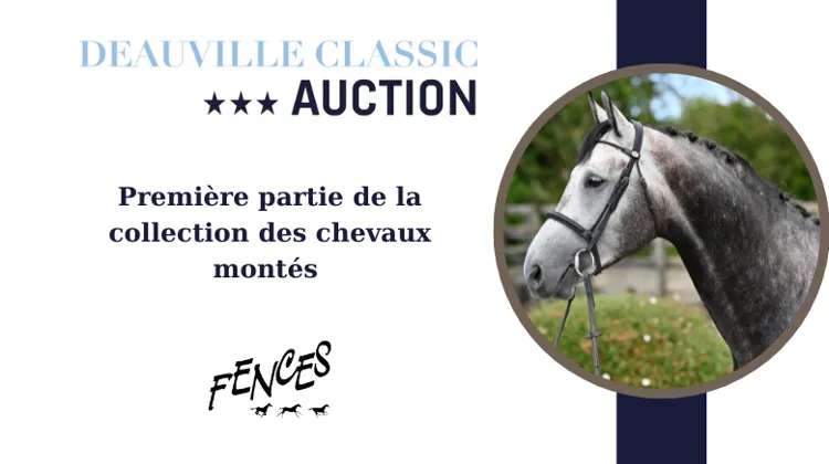 Une collection exceptionnelle