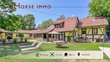 HORSE IMMO