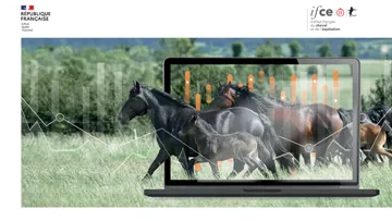 La plateforme Stats et Cartes de l’IFCE, l’accessibilité d’un large champ de données