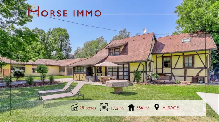HORSE IMMO