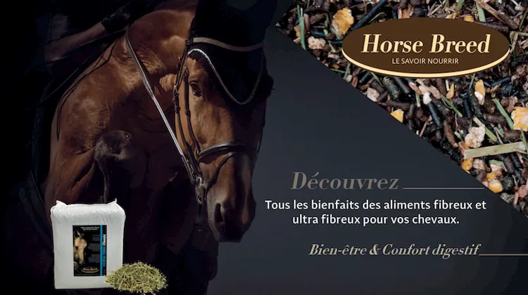Horse Breed, vingt ans de nutrition équine