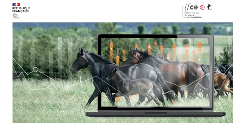 La plateforme Stats et Cartes de l’IFCE, l’accessibilité d’un large champ de données