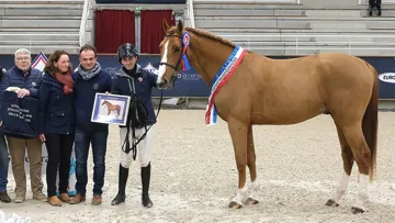 Jet des Forêts champion des trois ans Selle Français