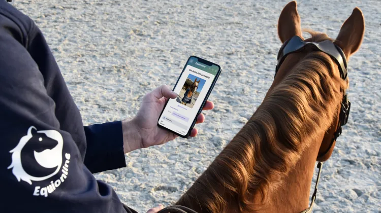 Equionline, le secrétariat d’une structure équestre au bout des doigts