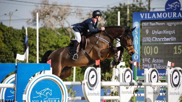 Vente aux enchères au Haras de Marie