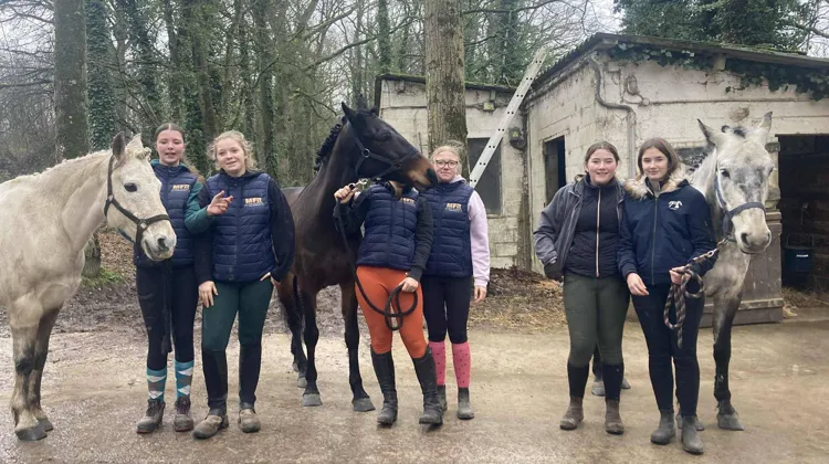 Se former aux métiers du cheval en alternance : la MFR du Pays d’Auge en Normandie propose des cursus complets pour allier enseignement théorique et expérience de terrain.