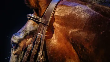 En 2018, le sire a effectué sa dernière grande apparition publique à l’occasion de la finale de la Coupe du monde Longines organisée à l’Accor Hotels Arena de Paris.