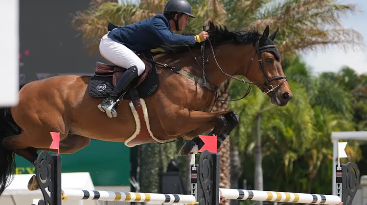 Nicholas Dello Joio et Cornet’s Cambridge