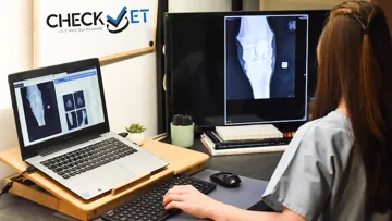 Votre second avis vétérinaire