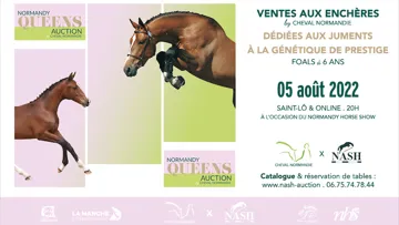 Ventes de juments et pouliches Selle Français pour la prochaine vente aux enchères NASH de Cheval Normandie.