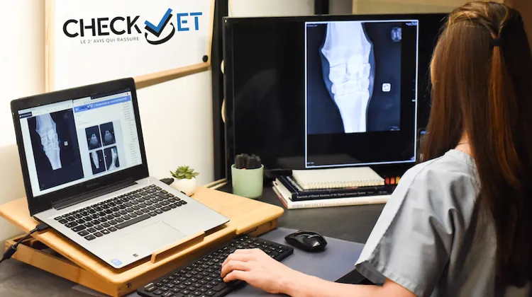Votre second avis vétérinaire