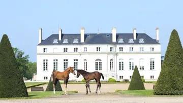 Haras de Hus