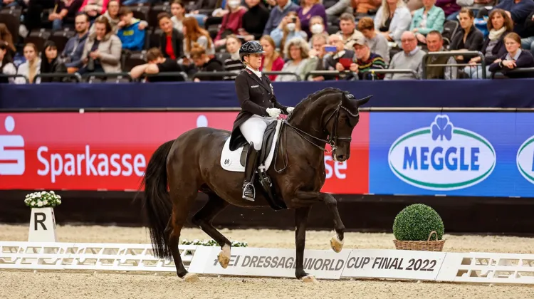 Isabell Werth et Weihegold seront une dernières fois associées ce soir, à Leipzig. 