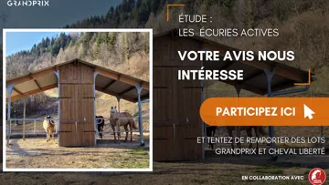 SONDAGE | Les écuries actives