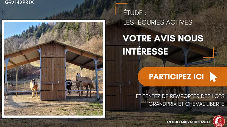 SONDAGE | Les écuries actives