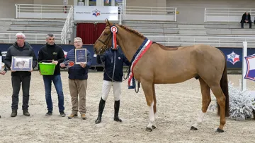 Kill Bill du Mesnil vainqueur du testage des trois ans