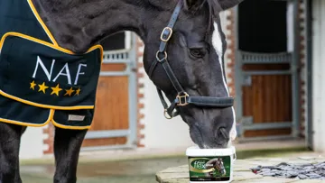 Gamme Superflex Senior 